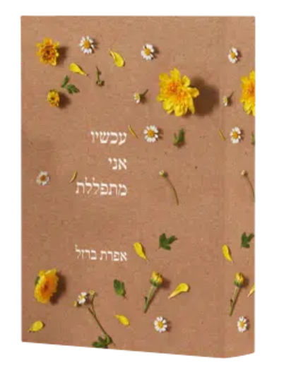 עכשיו אני מתפללת - אפרת ברזל