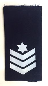 דרגות רנ"ג ב