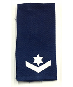דרגות רס"מ ב