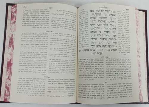 ספר התהלים דרך הקדמונים ב