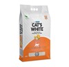 קטס וויט חול מתגבש בניחוח תפוז 10 ליטר CAT'S WHITE