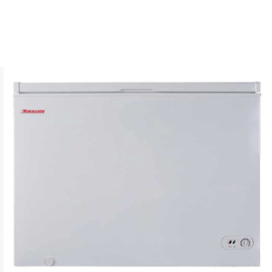 מקפיא שוכב NORMANDE נורמנדה BD-300