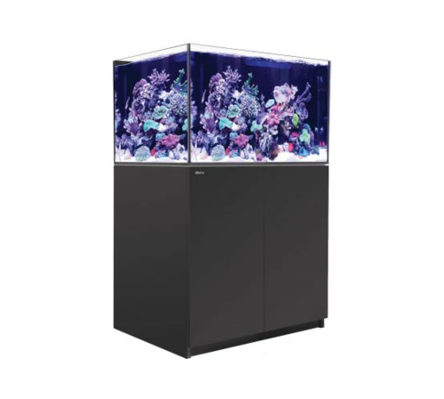 רד סי אקווריום ריפר 300 +G2 שחור