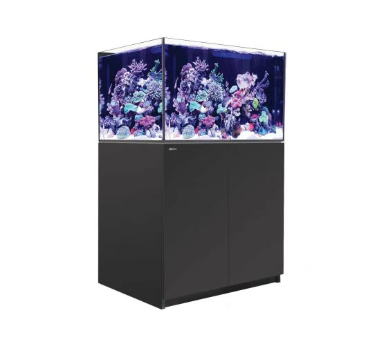 רד סי אקווריום ריפר 300 +G2 שחור