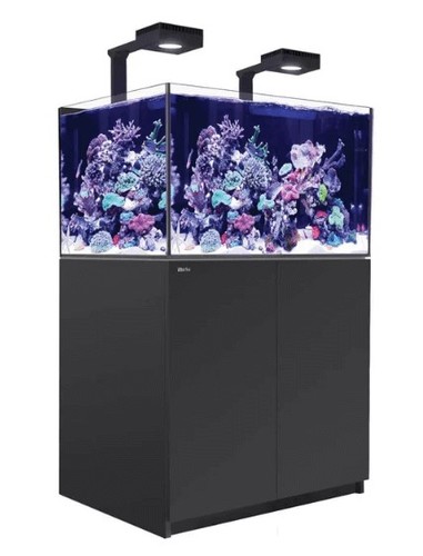 רד סי אקווריום ריפר 300 +G2 שחור