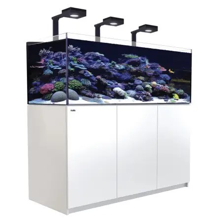 רד סי אקווריום ריפר 525 +G2 לבן