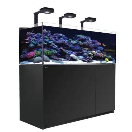 רד סי אקווריום ריפר 525 +G2 שחור