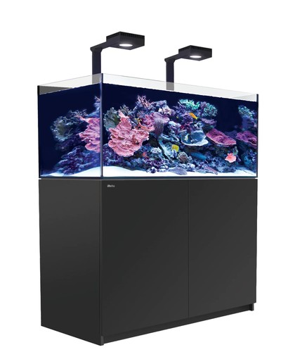 רד סי אקווריום ריפר 425 +G2 שחור