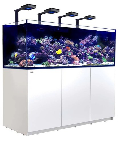 רד סי אקווריום ריפר 750 +G2 לבן