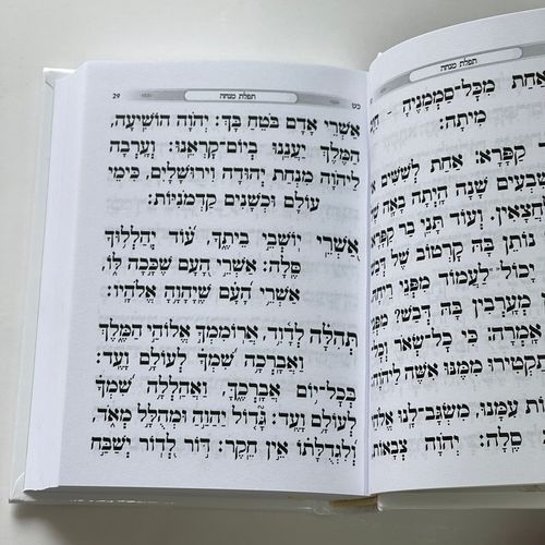 עבור לדף המבוקש