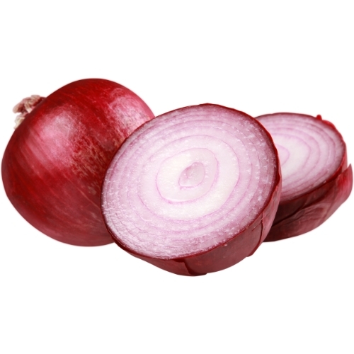 בצל אדום