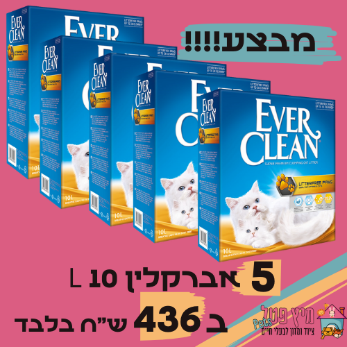 מבצע 5 יחידות חול אברקלין צהוב 10L ב436 ש"ח