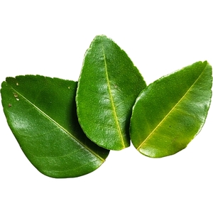 עלי קפיר ליים מיובשים 