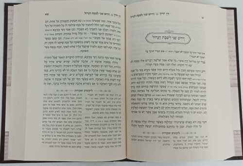דן ידין - תורה