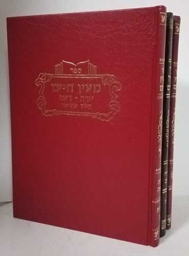 מעין חיים ג