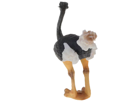 חיה בודדת יען  6975431026209