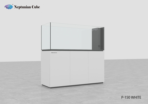 נפטוניאן קיוב פנינסולה Neptunian Cube P-150