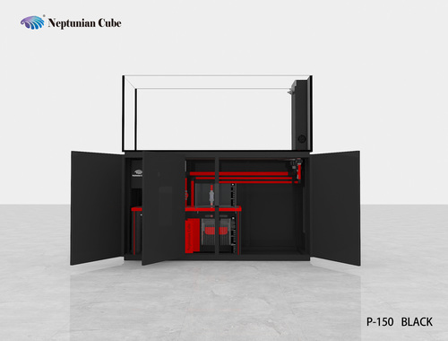 נפטוניאן קיוב פנינסולה Neptunian Cube P-150