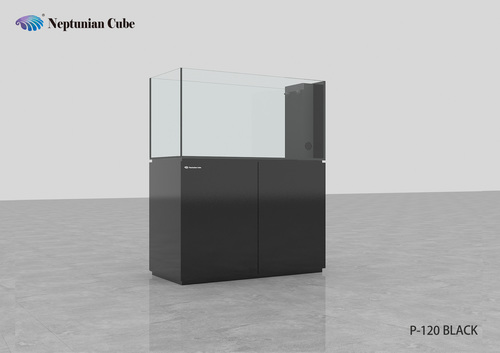 נפטוניאן קיוב פנינסולה Neptunian Cube P-120