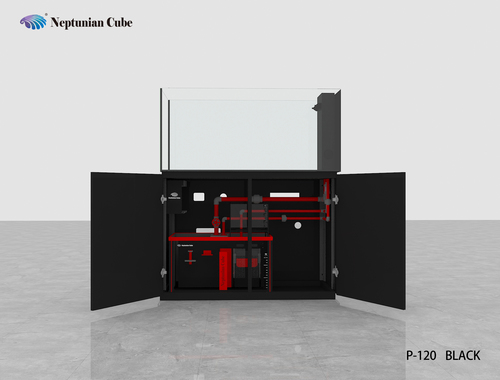 נפטוניאן קיוב פנינסולה Neptunian Cube P-120