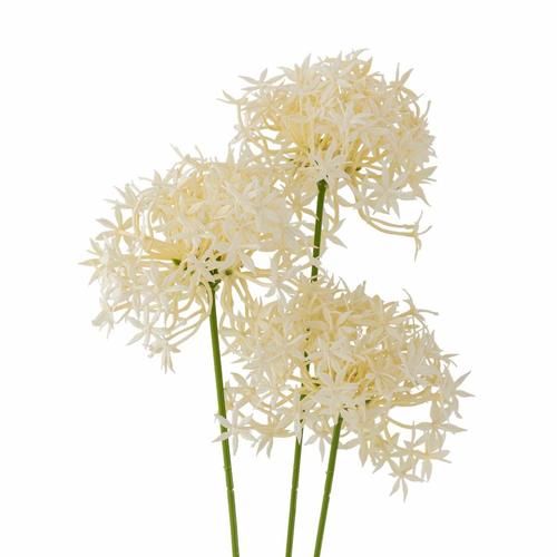 ענף שום מלאכותי Allium ג' 63 ס
