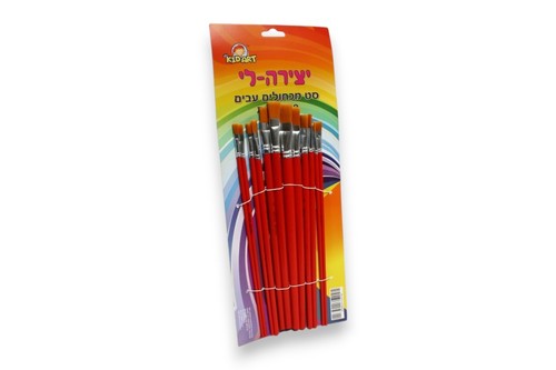סט 12 מכחולים שיער סינטטי