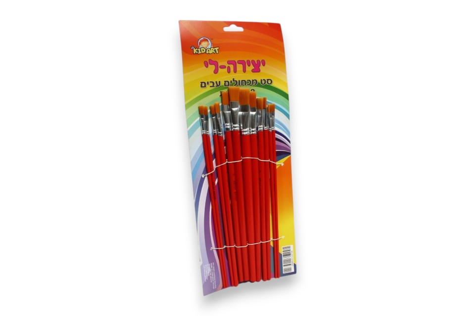 סט 12 מכחולים שיער סינטטי