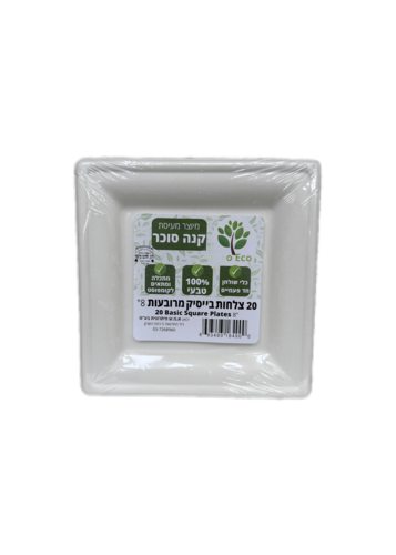 20 יחידות צלחת קנה סוכר בנונית 20X20 מרובעת