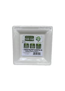 20 יחידות צלחת קנה סוכר בנונית 20X20 מרובעת