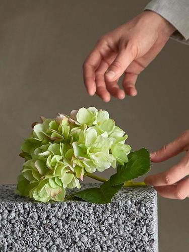 ענף הידרנג'אה מלאכותי Hydrangea ג' 36 ס