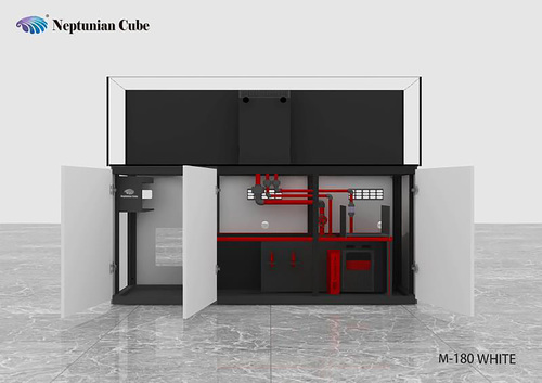 נפטוניאן קיוב מג'יק פרו Neptunian Cube MP-180