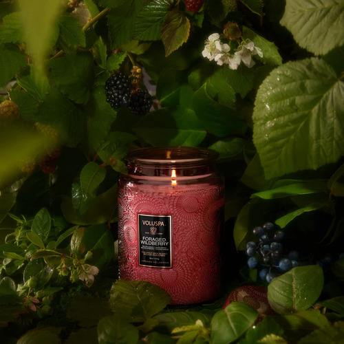 ר ריחני בצנצנת זכוכית 510 גרם - Foraged Wildberry