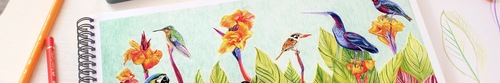 מתנה מושלמת! ערכת ציור של 17 עפרונות צבעוניים Polychromos + אביזרי רישום  PITT Graphite Matt