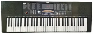 אורגנית 5 אוקטבות למתחילים Stagg | STK-100