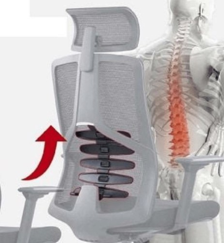 כיסא משרד ארגונומי Sitplus Bionic Therapy