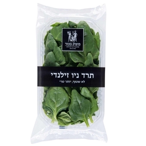 תרד ניו זילנדי