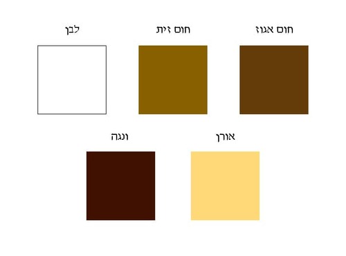 BambooDeck – לכה בגוונים לבמבוק ועץ תוצרת יעקבי