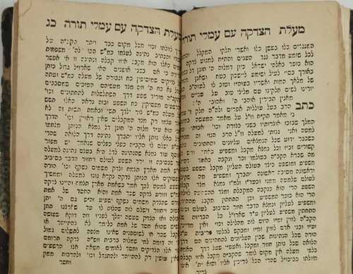 למעלת התורה - שבחי הרש