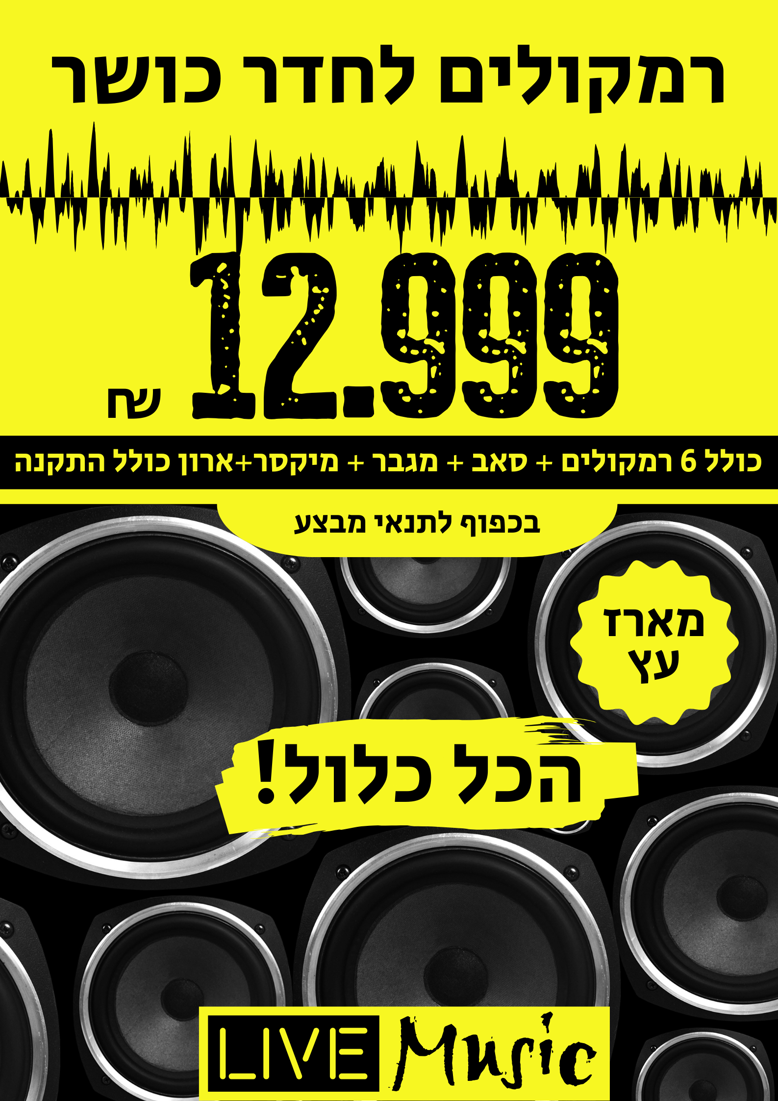 חבילת רמקולים מארז עץ לחדר כושר הכל כלול עם התקנה