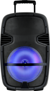 בידורית נטענת "15 PRO AUDIO SKL-3315
