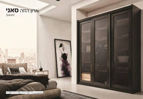 ארון סאני