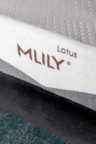 זוג מזרנים דתיים LOTUS – MLILY