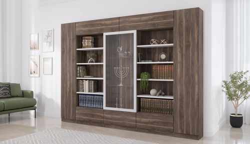 נועם