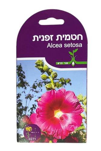 זרעי חטמית זפנית