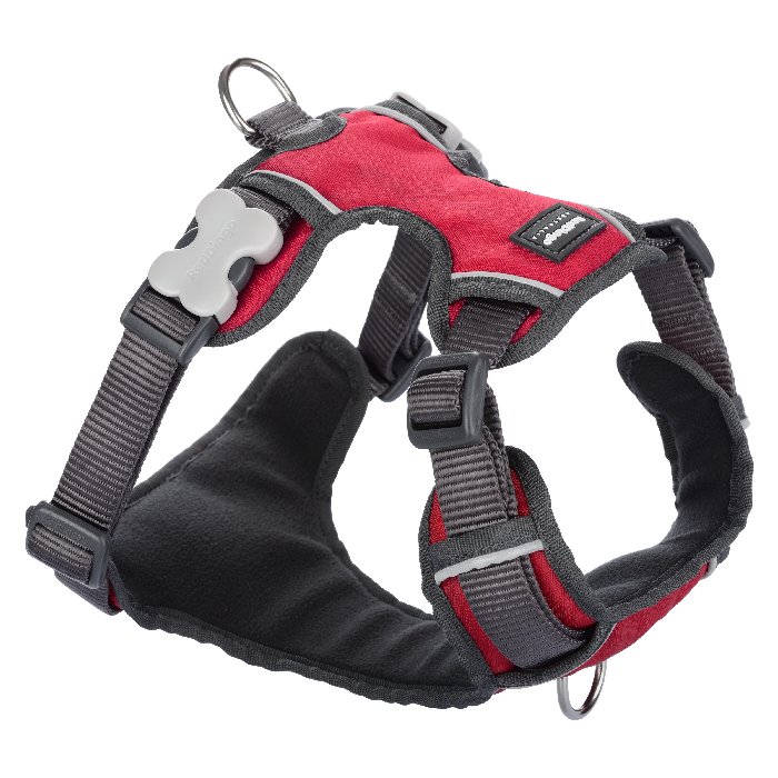 רתמה לכלב רתמת עבודה רדינגו
