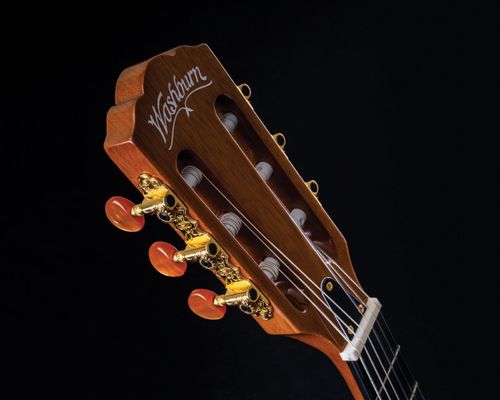 זווית נוספת Washburn FESTIVAL EACT42S