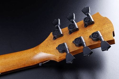 זוית נוספת Lag Guitars TRAVEL-KAE ACOUSTIC TRAVEL GITARR WITH MICROPHONE SYSTEM