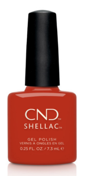 Shellac Hot or Knot - ג