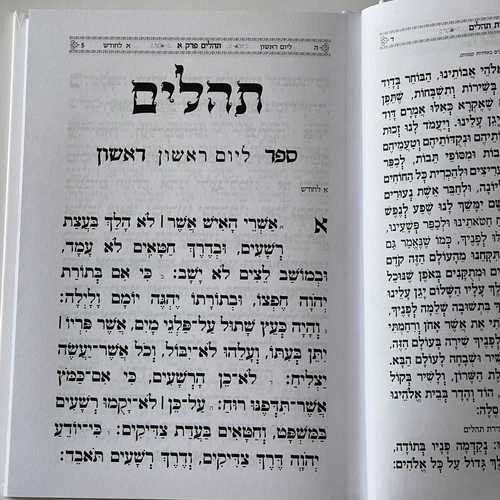 תהילים דגם מסגרת לבן