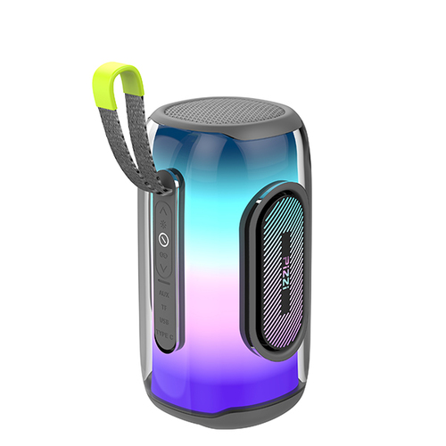 בידורית אלחוטית מערכת שמע ניידית